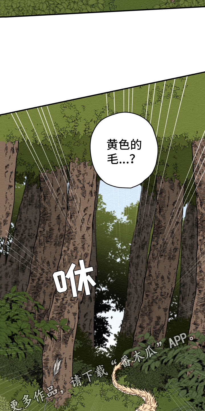 虎与龙漫画,第18章：猎人4图