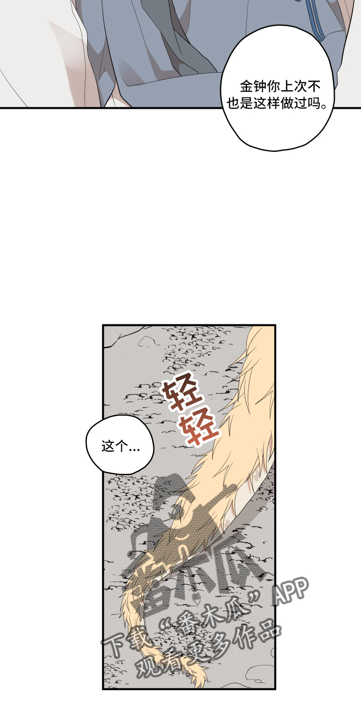 砚与龙完结了吗漫画,第40章：变熟悉1图