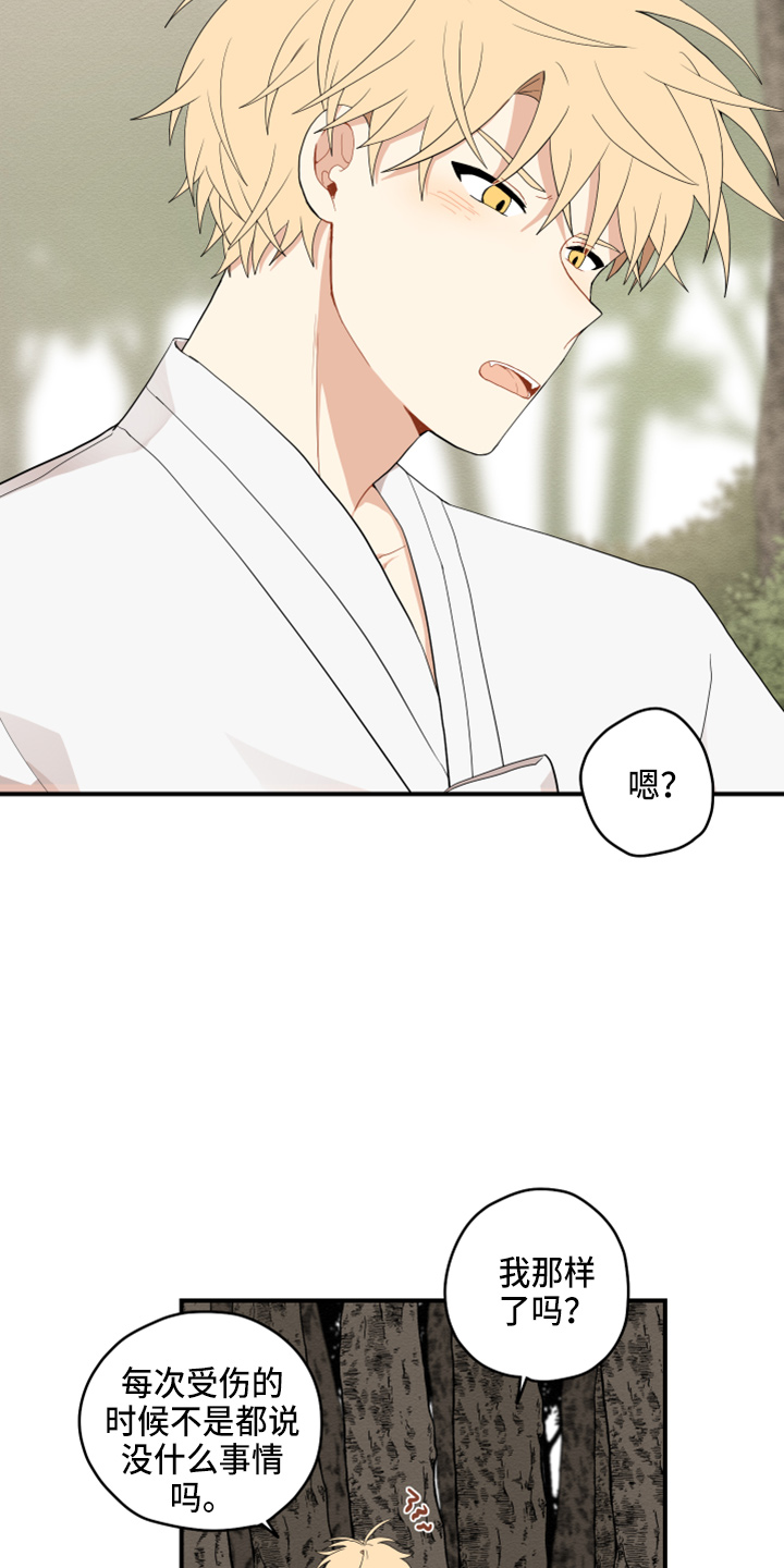 虎与龙漫画,第41章：嫉妒2图