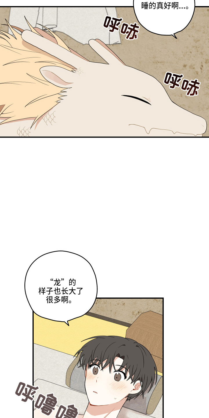 虎与龙漫画,第38章：喜欢上了4图