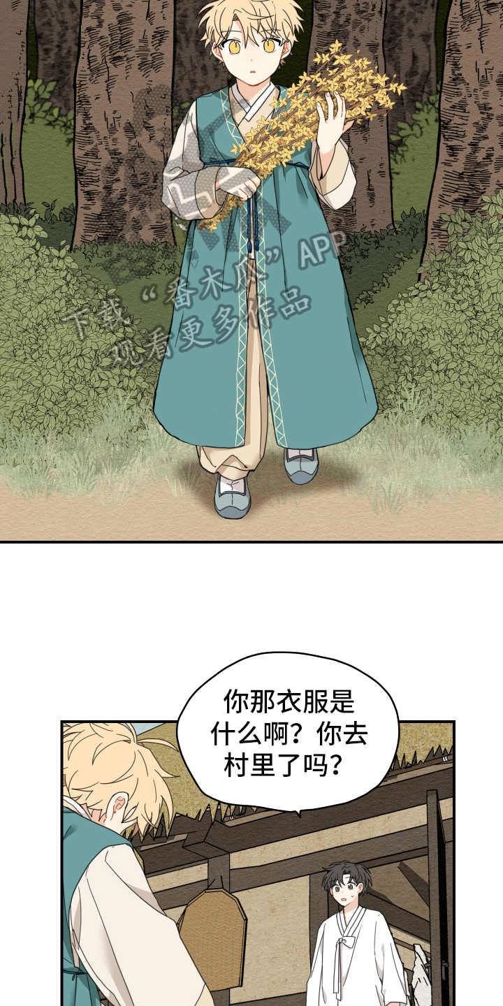 虎与龙漫画,第17章：生活4图