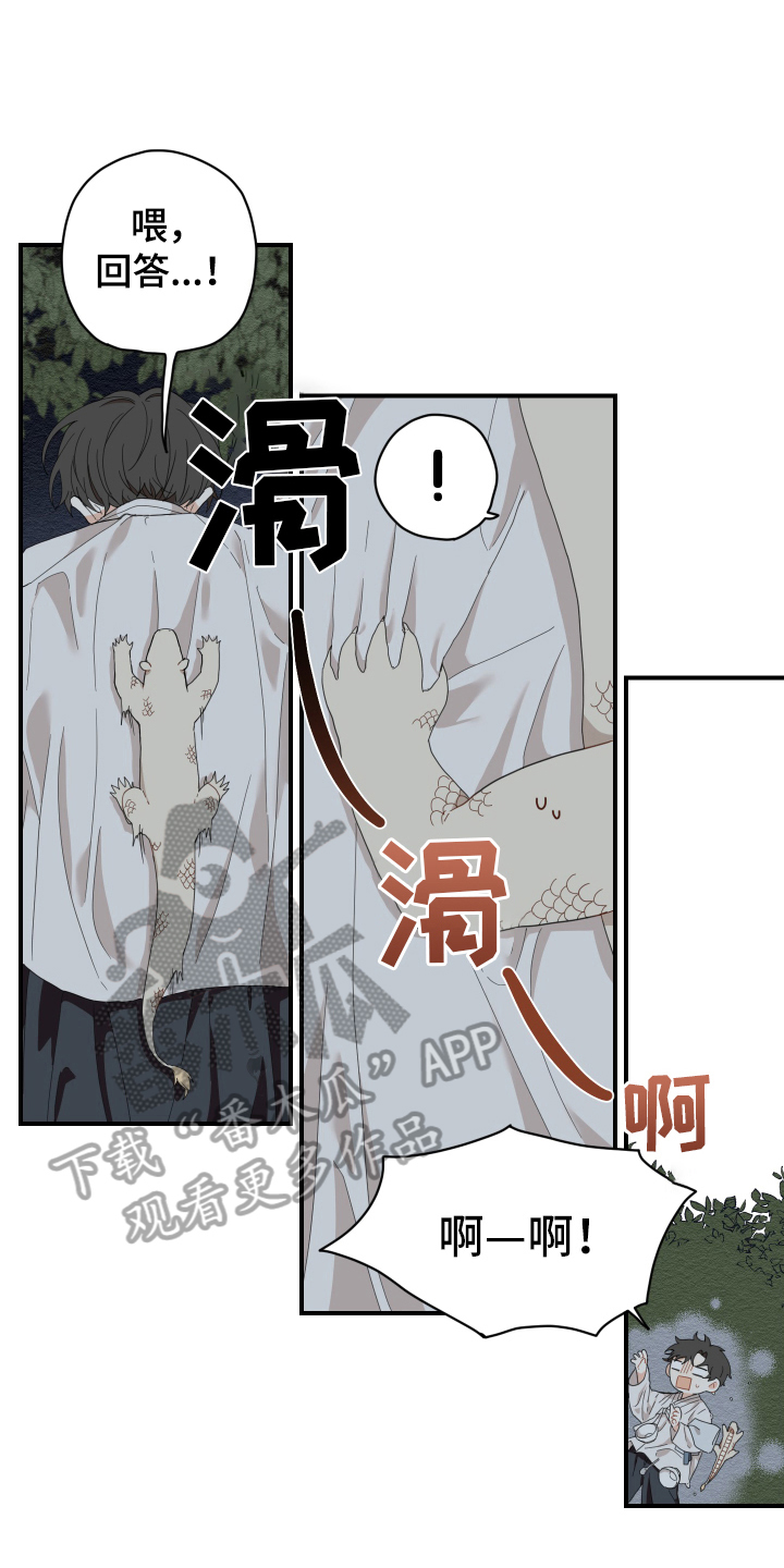 虎与龙漫画,第6章：失误5图