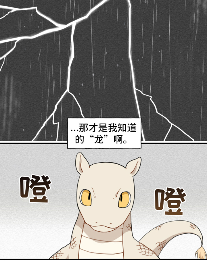 砚与龙漫画,第4章：龙5图