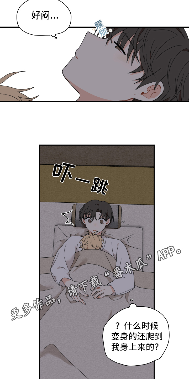 砚与龙漫画,第15章：体质5图