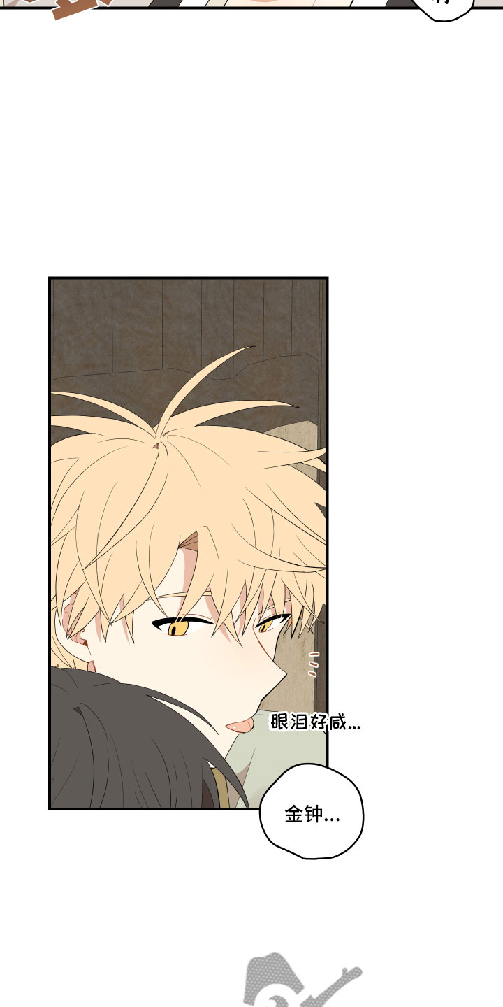 砚与龙完结了吗漫画,第44章：最喜欢了5图