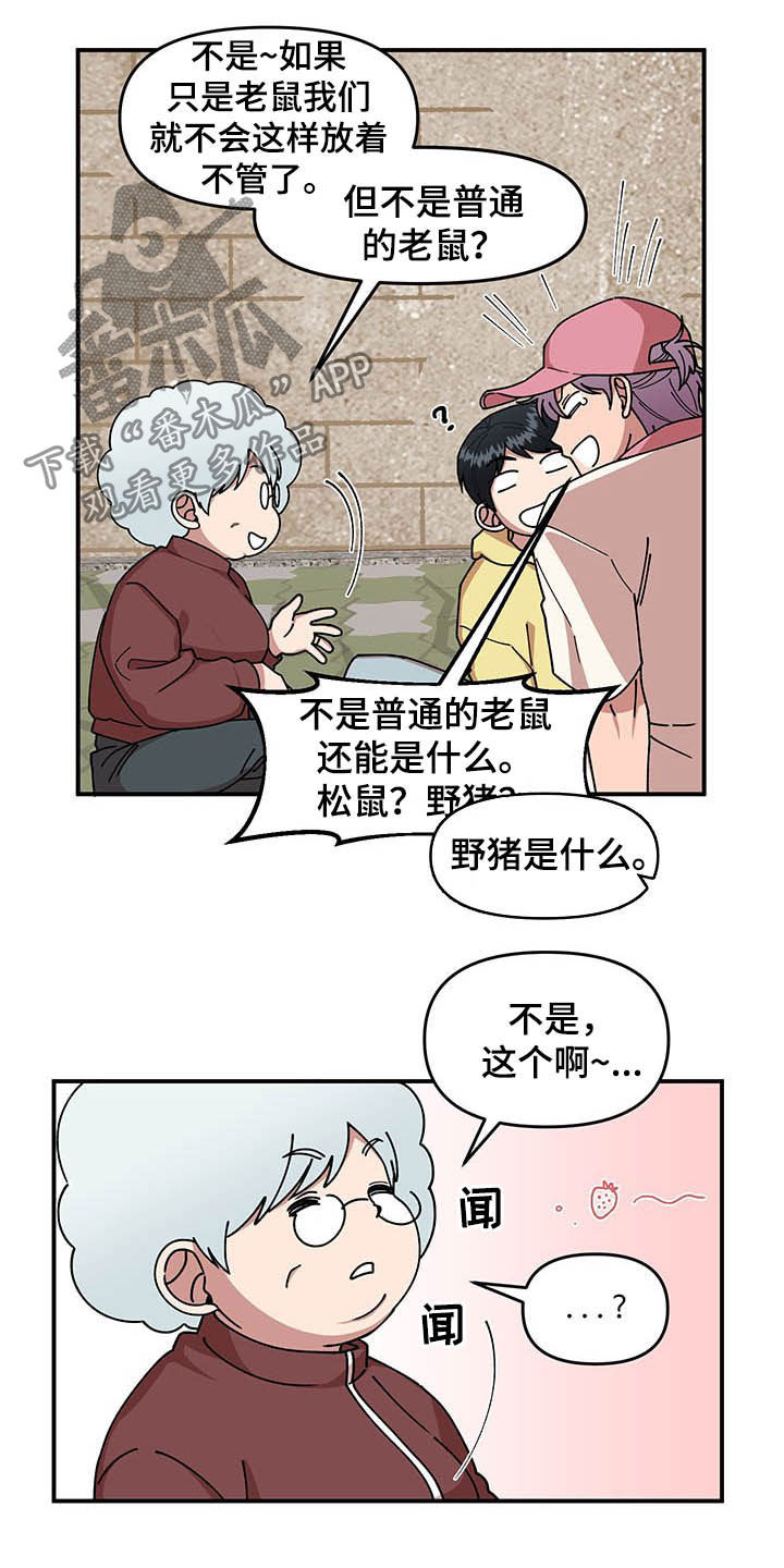 请听我解释漫画,第20章：草莓爱好者2图