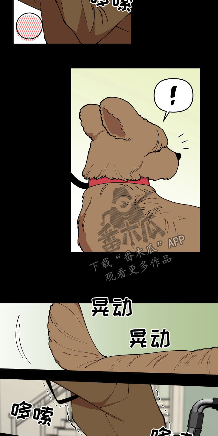 请听我解释漫画,第42章：狗主人1图