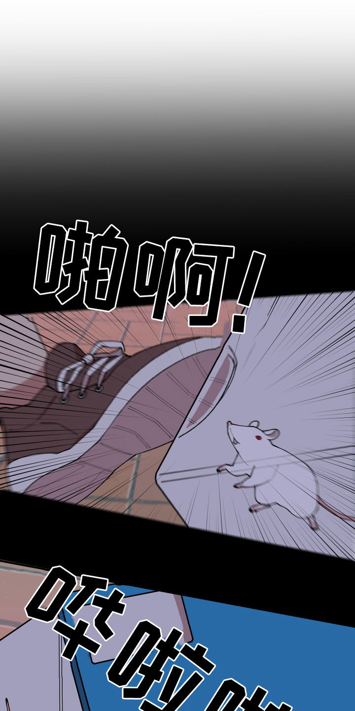 请听我解释漫画,第48章：戒备5图