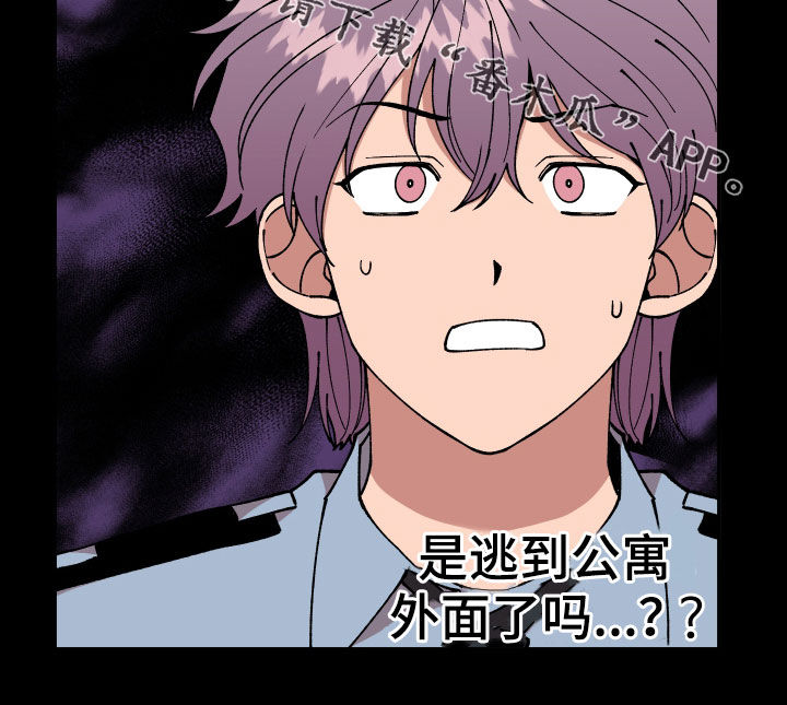 请听我解释漫画,第44章：油漆5图