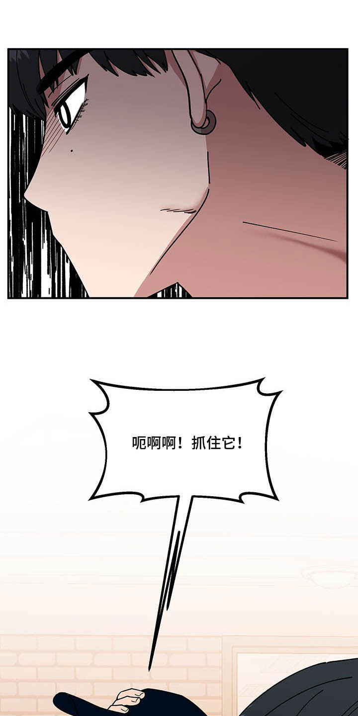 请听我解释漫画,第24章：摄像机1图