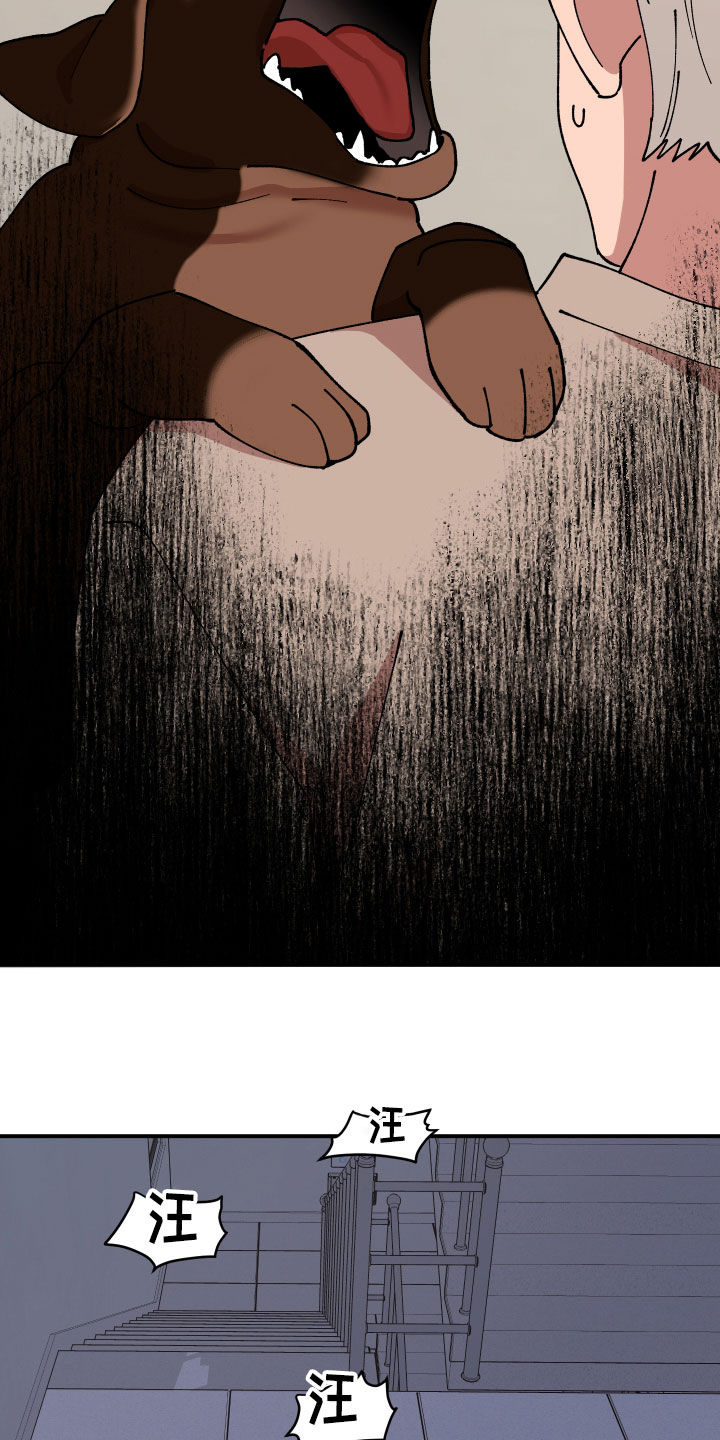 请听我解释漫画,第51章：追踪5图