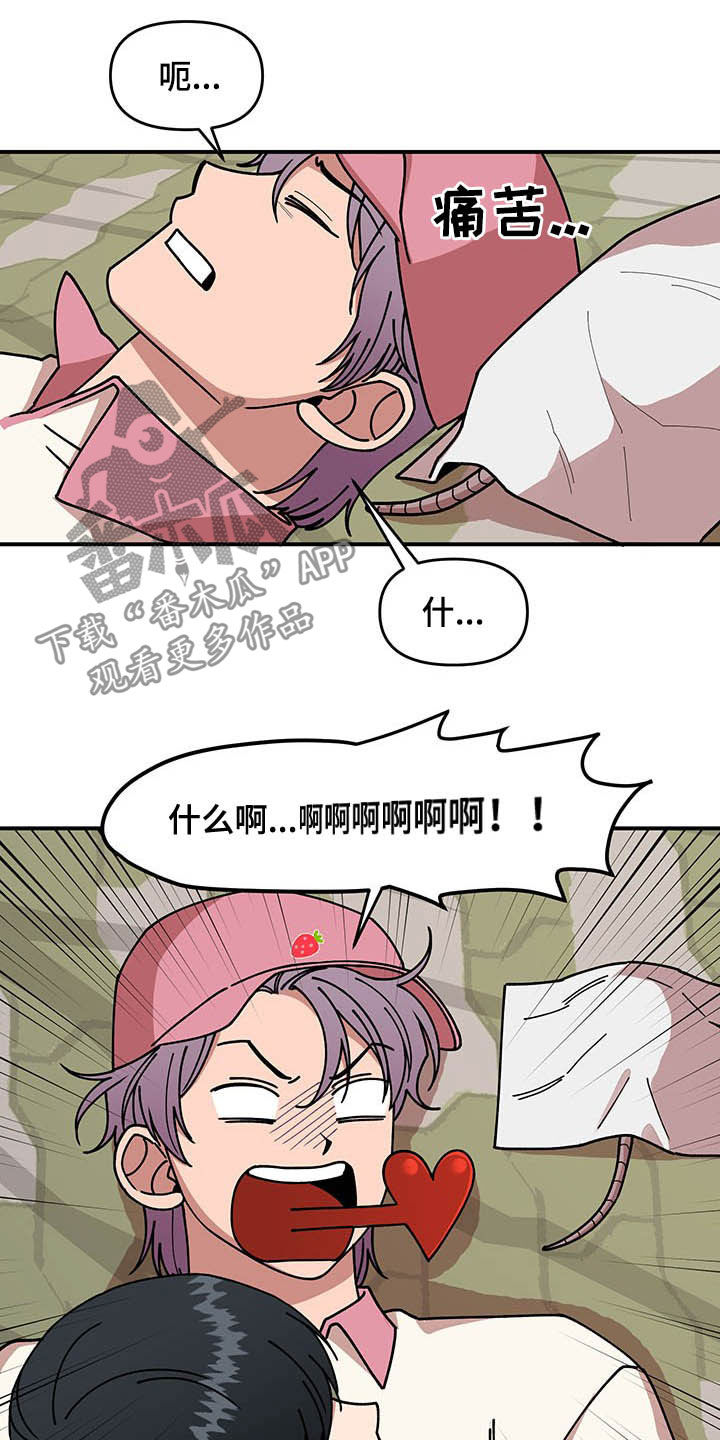 请听我解释漫画,第20章：草莓爱好者5图