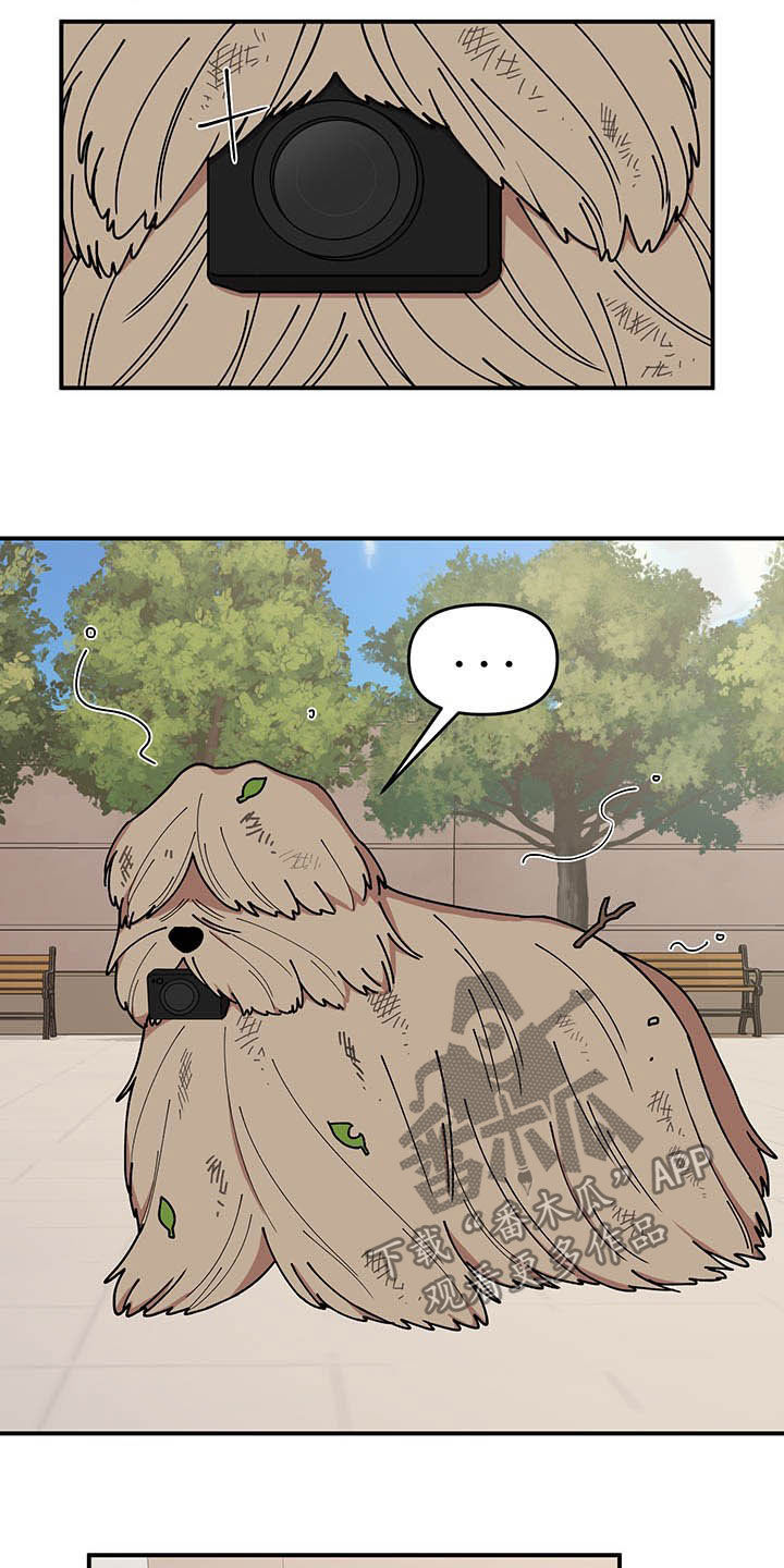 请听我解释漫画,第24章：摄像机5图