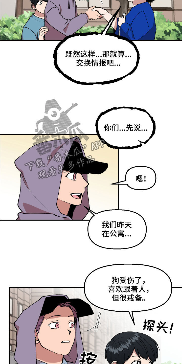 请听我解释漫画,第37章：交换情报4图