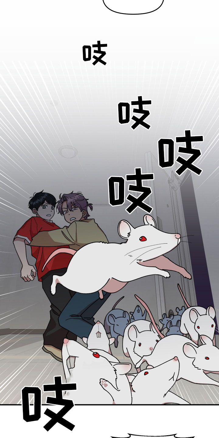 请听我解释漫画,第29章：房间的秘密3图