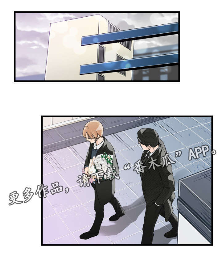 有没有天生般配的人漫画,第36章：美人3图