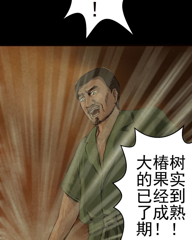 怪谭奇谈幻影怎么样漫画,第9章：长生树（下）4图