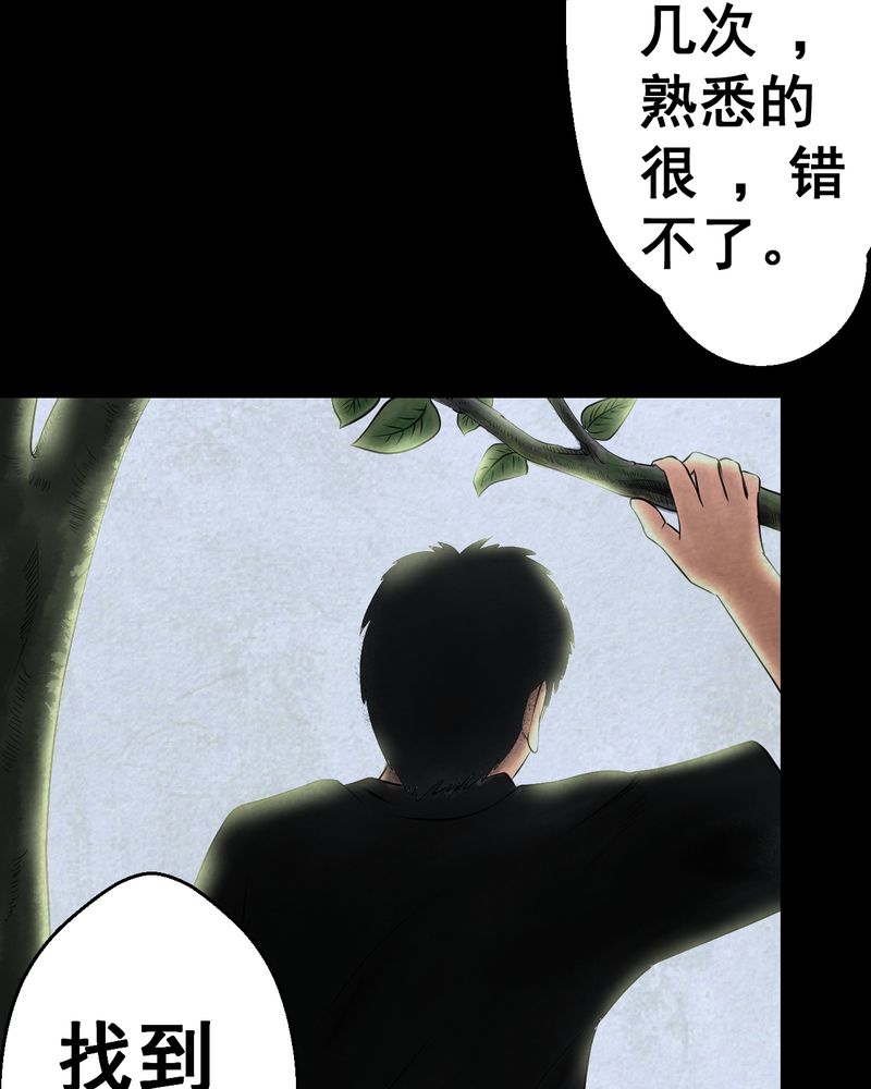 怪力弟弟漫画,第45章：雷公花-今生（上）2图