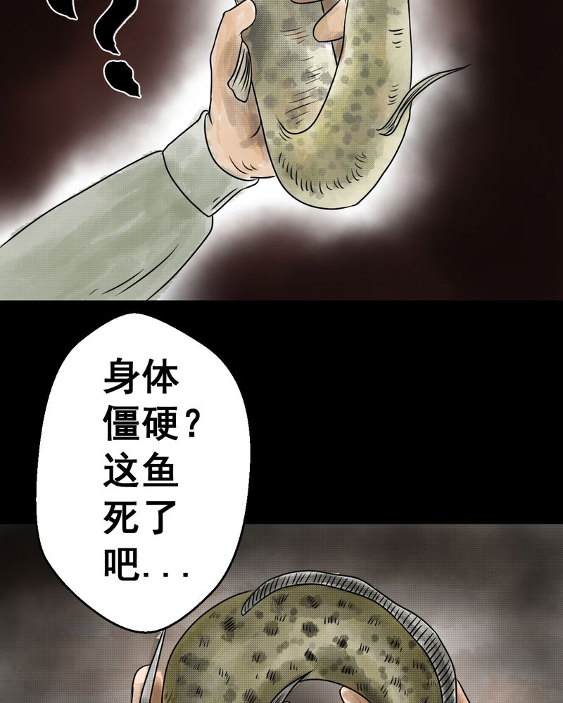 怪谈新耳袋第一季在线播放漫画,第36章：肺鱼（上）2图