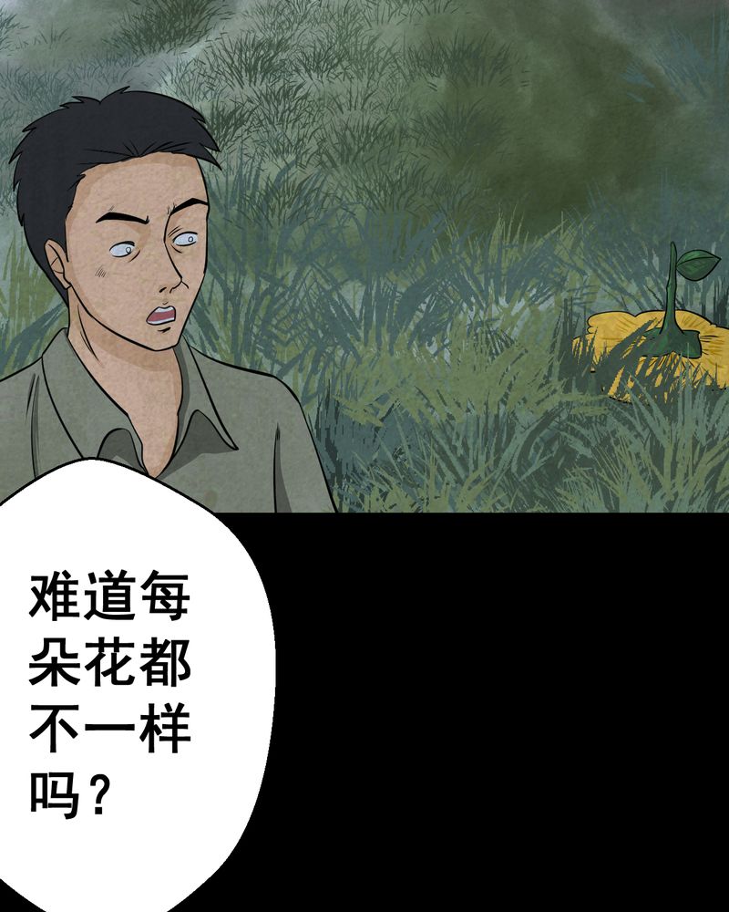 怪力弟弟漫画,第45章：雷公花-今生（上）5图