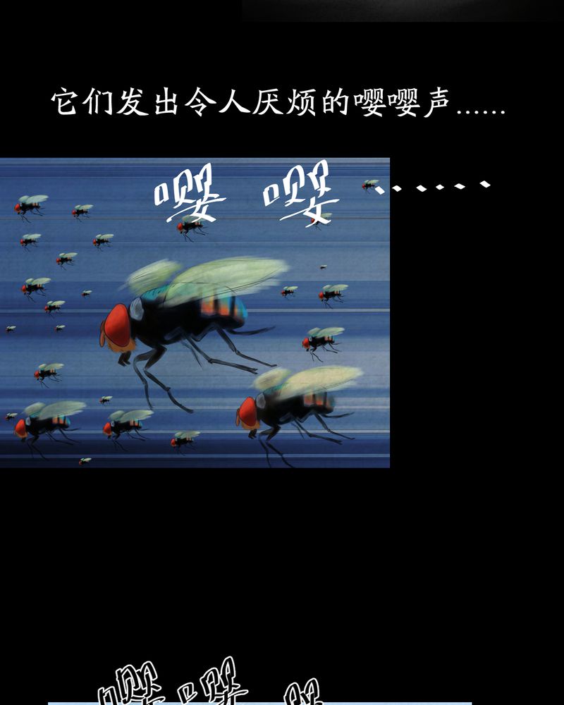 怪谈新耳袋全集漫画,第57章：大结局-苍蝇（下）4图