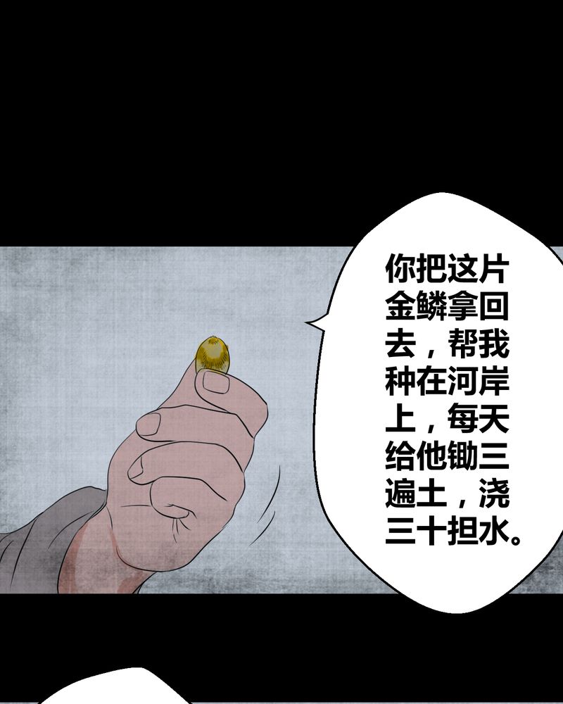 あけいろ怪奇谭漫画,第19章：金鳞劫（上）3图