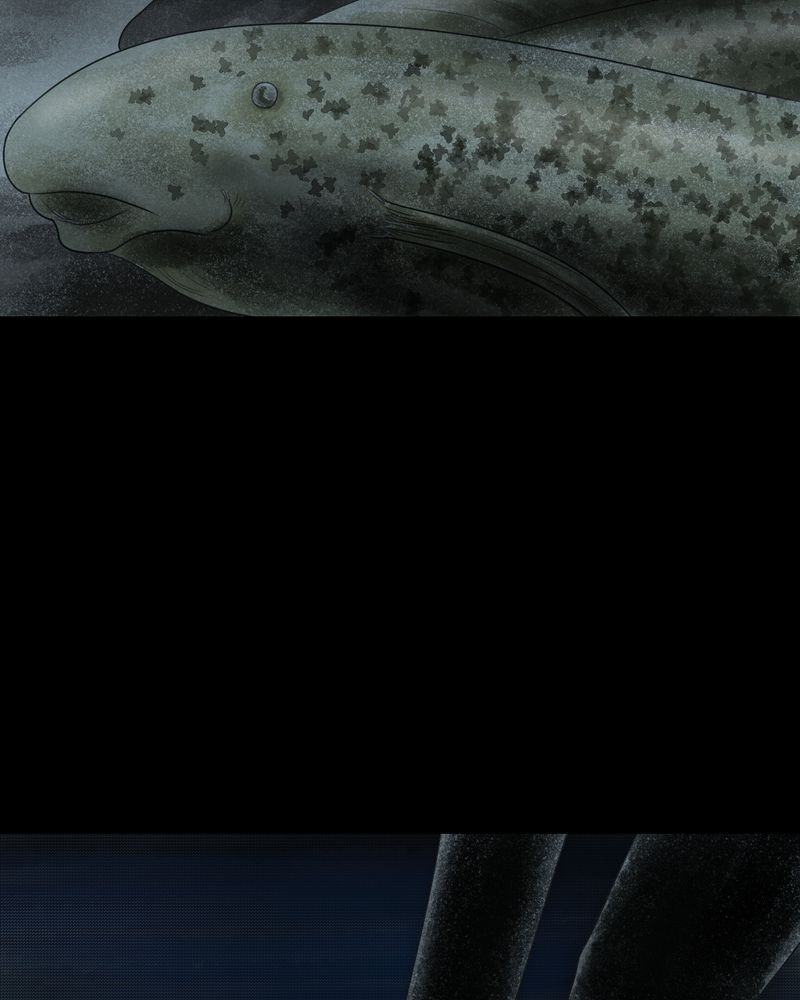 怪谭新说漫画,第37章：肺鱼（下）3图