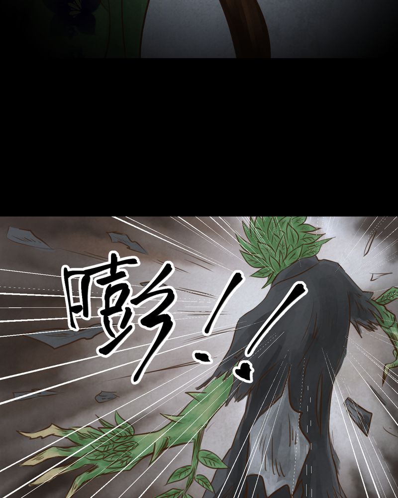 怪谈新耳袋第一季在线播放漫画,第48章：雷公花-前世（下）5图