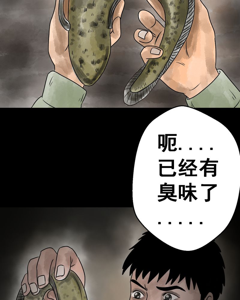 怪谈新耳袋第一季在线播放漫画,第36章：肺鱼（上）3图