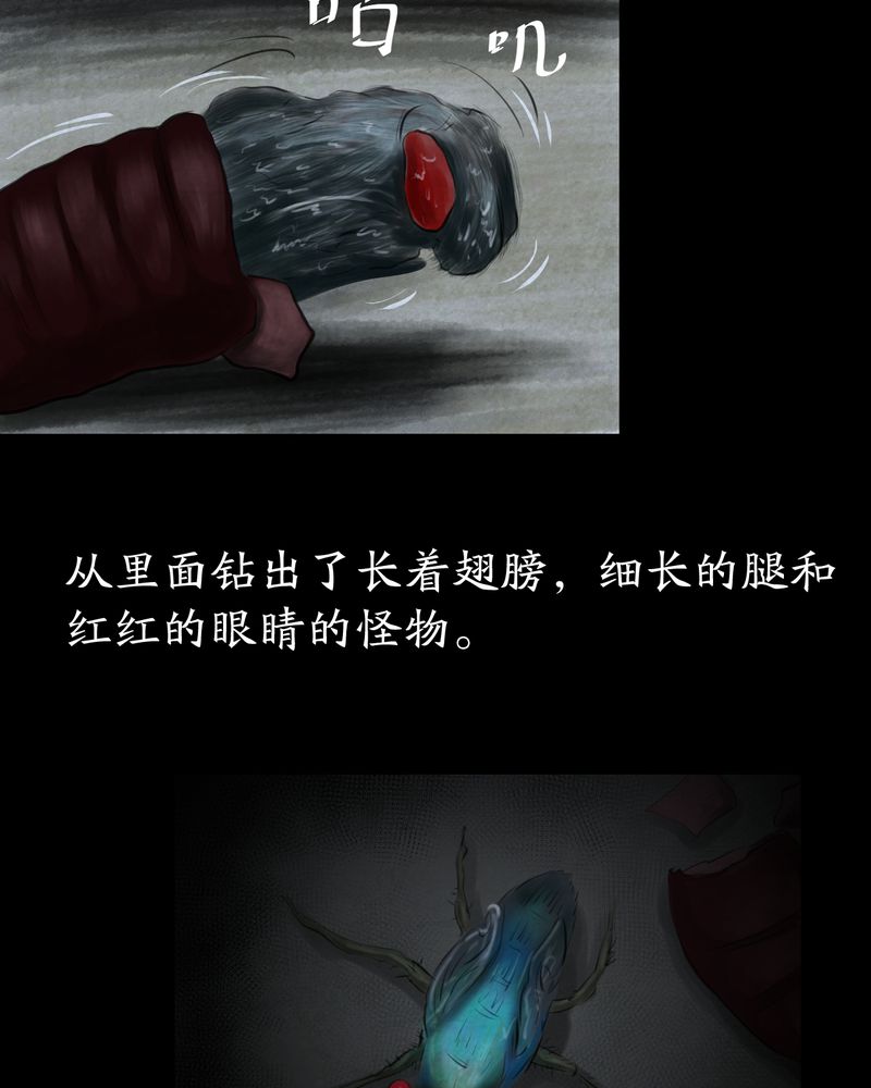 怪谈新耳袋全集漫画,第57章：大结局-苍蝇（下）2图