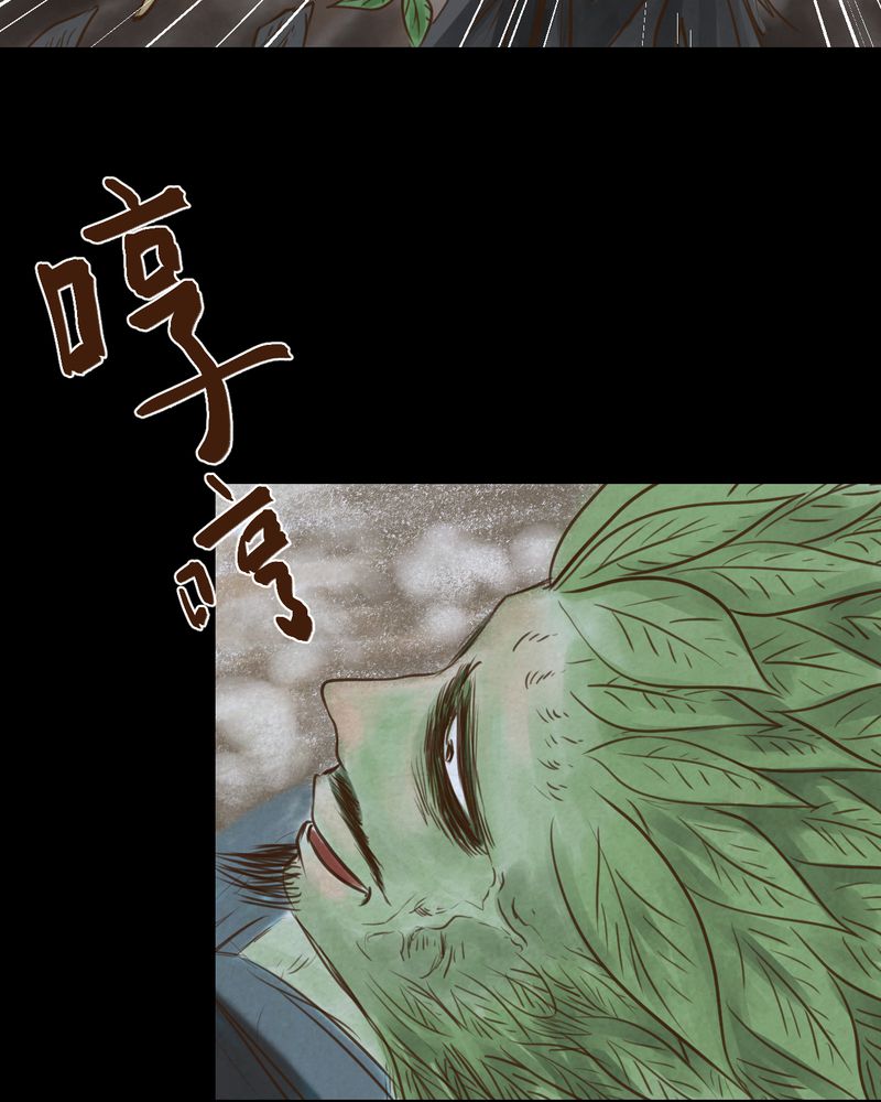 怪我无情越南神曲原唱漫画,第48章：雷公花-前世（下）1图
