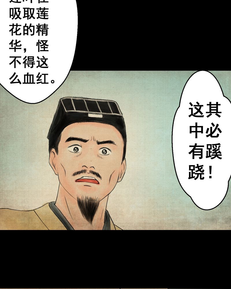怪谭奇谈幻影怎么样漫画,第29章：并蒂莲（一）3图