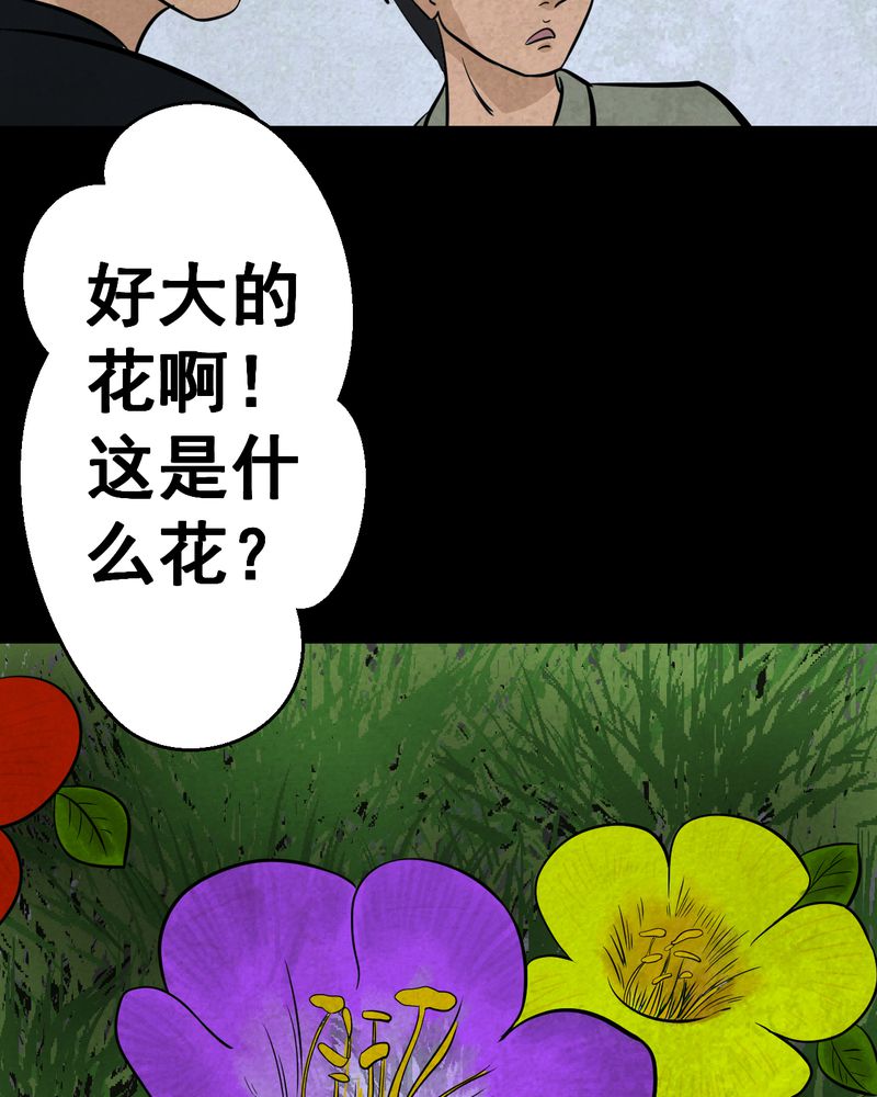 怪力弟弟漫画,第45章：雷公花-今生（上）1图