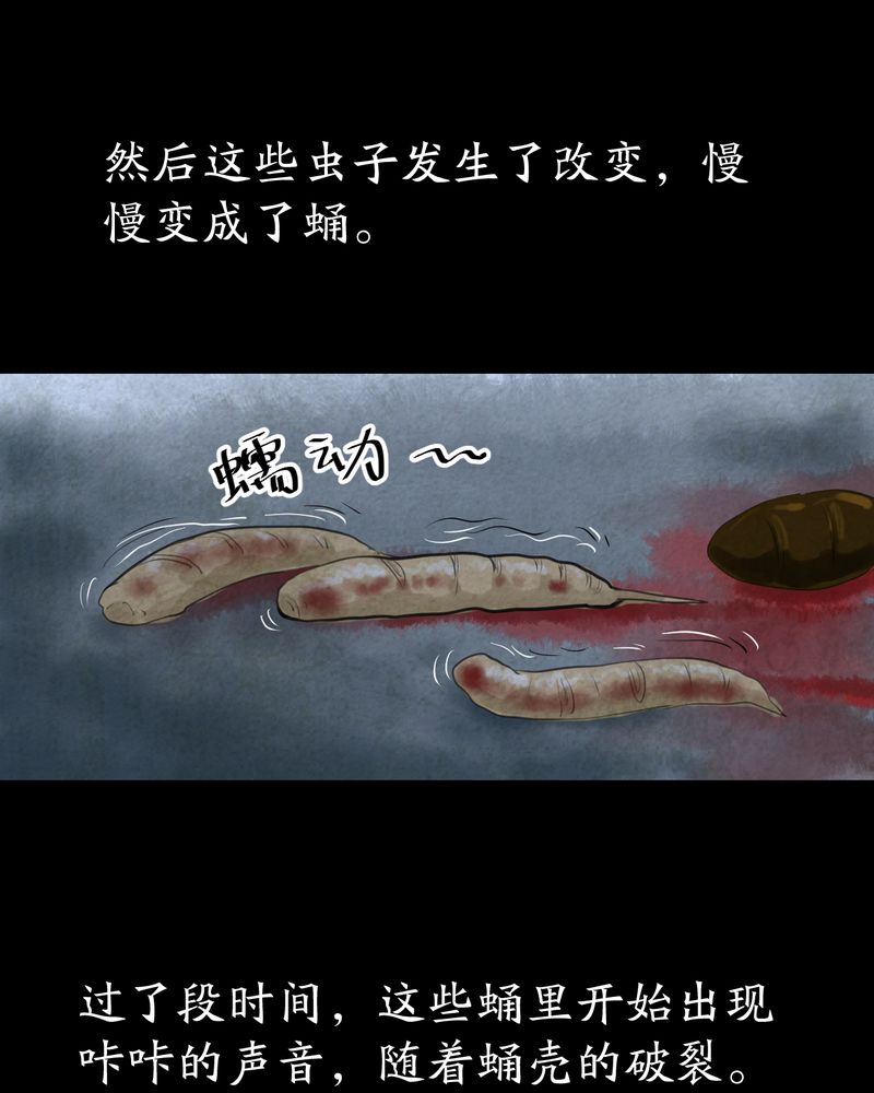 怪谭奇谈幻影怎么样漫画,第57章：大结局-苍蝇（下）5图