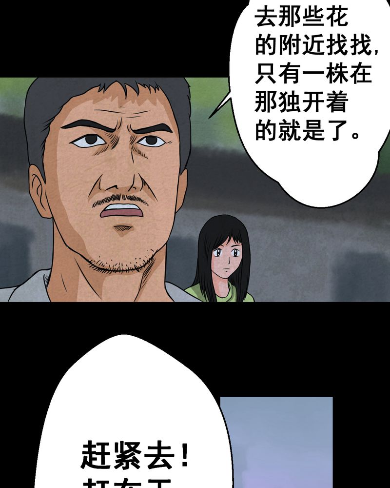 怪逗逗小舞台漫画,第46章：雷公花-今生（下）4图