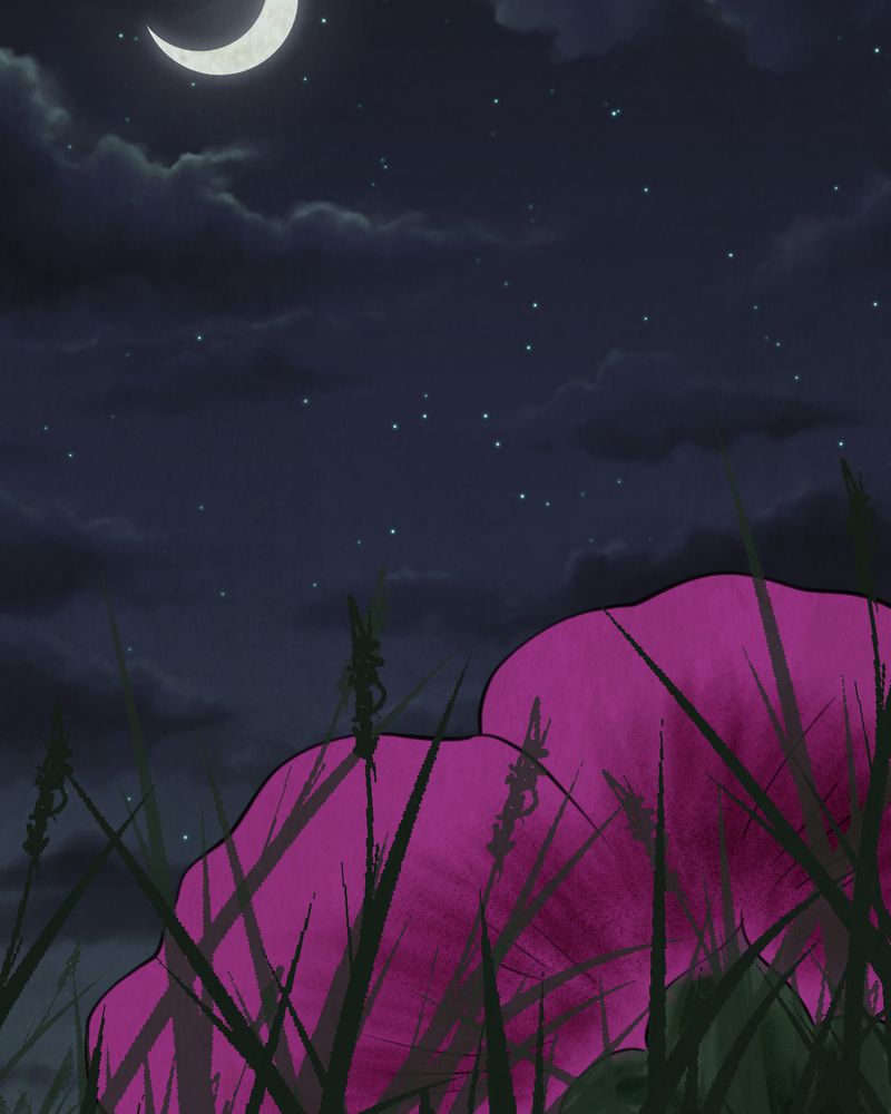 怪逗逗小舞台漫画,第46章：雷公花-今生（下）4图