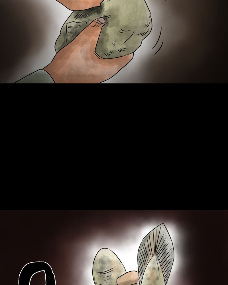 怪谈新耳袋第一季在线播放漫画,第36章：肺鱼（上）1图