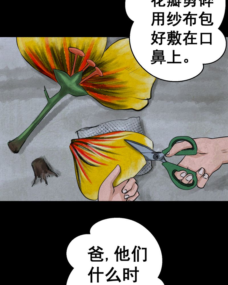 怪逗逗小舞台漫画,第46章：雷公花-今生（下）4图