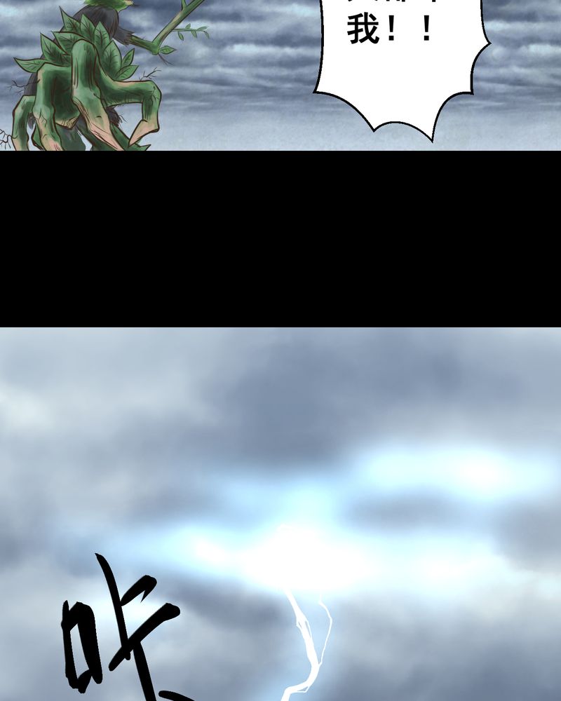 怪我无情越南神曲原唱漫画,第48章：雷公花-前世（下）4图