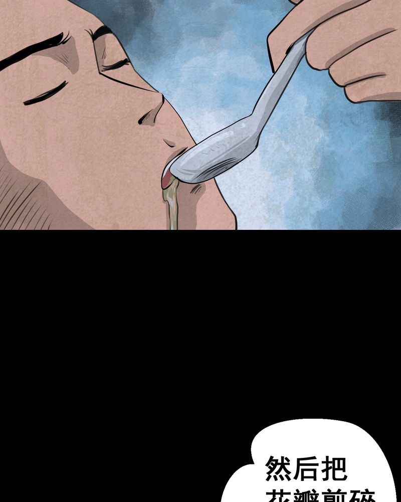 怪逗逗小舞台漫画,第46章：雷公花-今生（下）3图