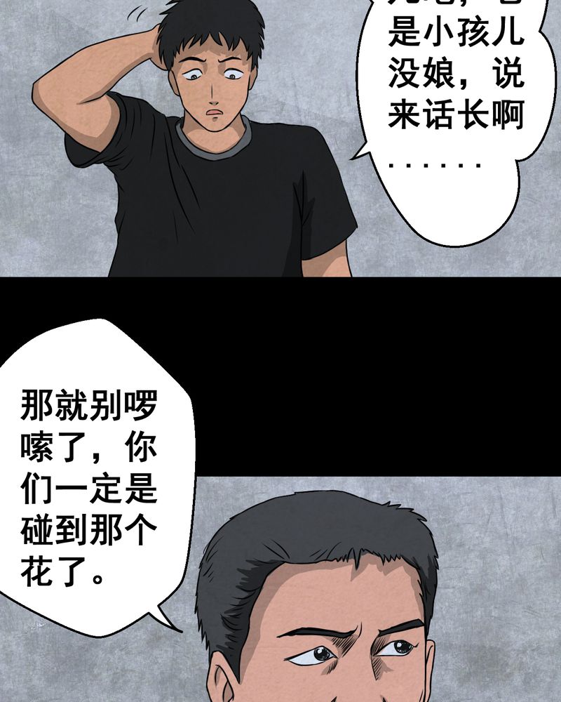 怪逗逗小舞台漫画,第46章：雷公花-今生（下）2图
