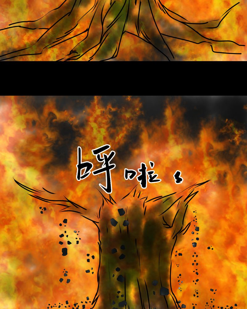 怪谭奇谈幻影怎么样漫画,第9章：长生树（下）1图