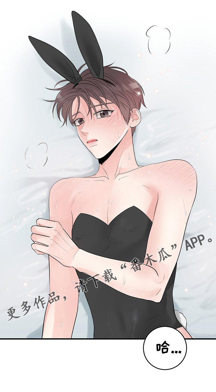 关系练习漫画,第78章：兔子的诱惑1图