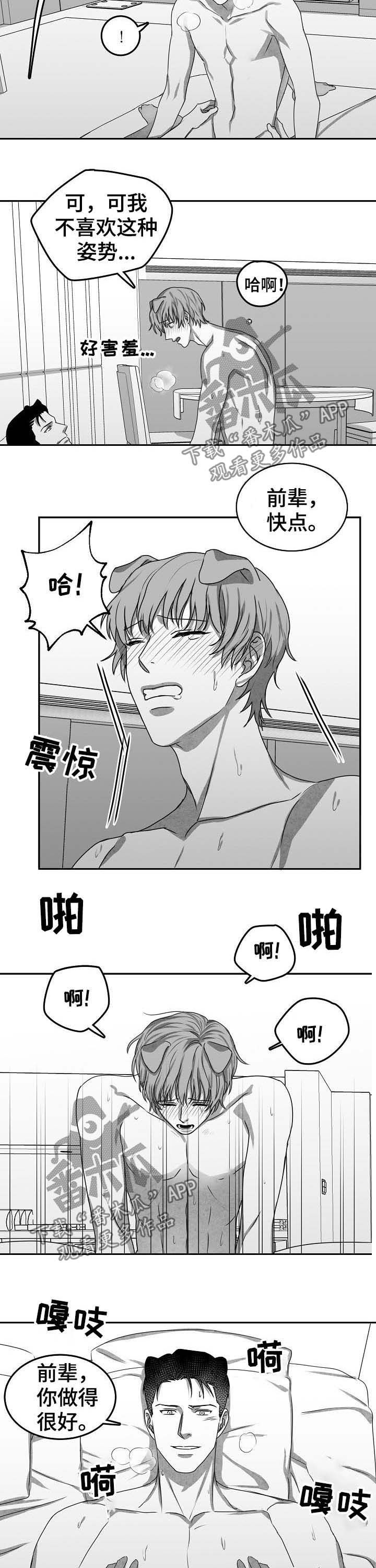 第44章：求婚（完结）1