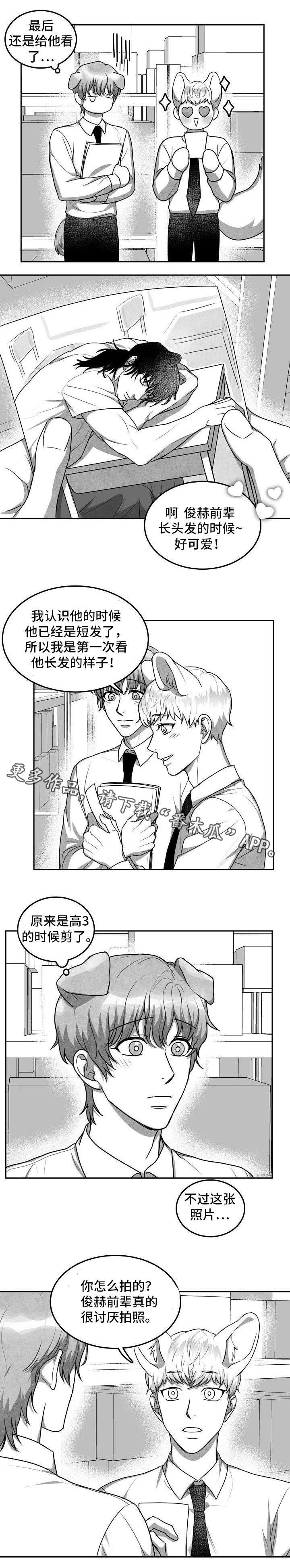 兽人同体漫画,第19章：照片1图