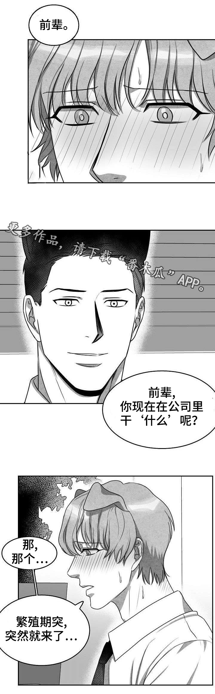 第5章：不敢面对2