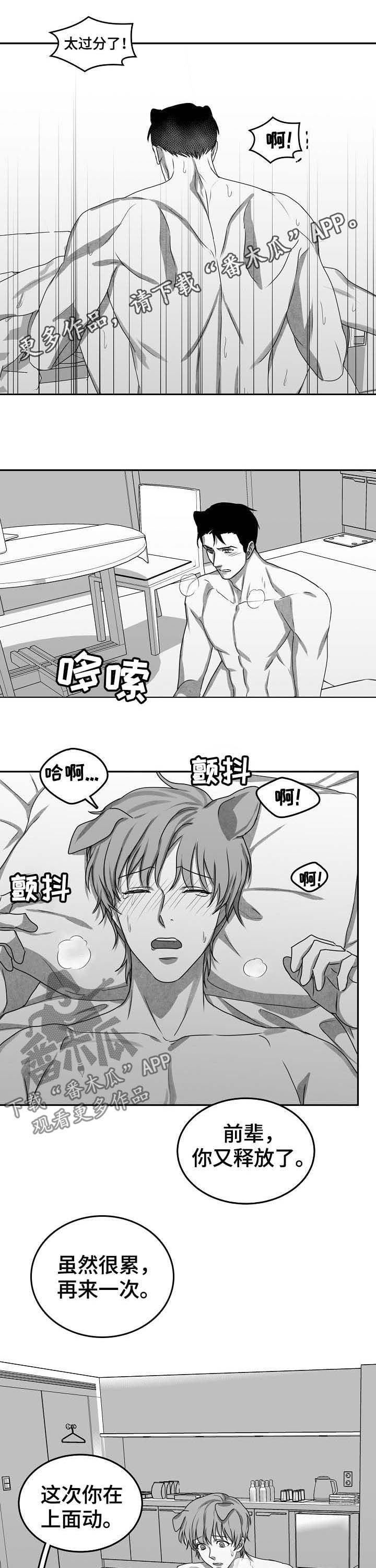 第44章：求婚（完结）0