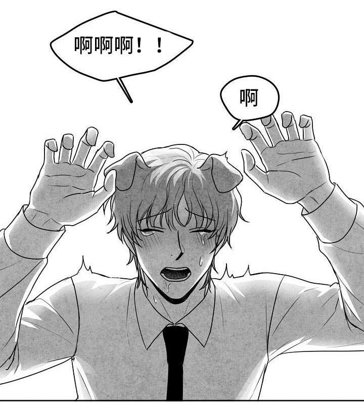 第22章：有点奇怪4