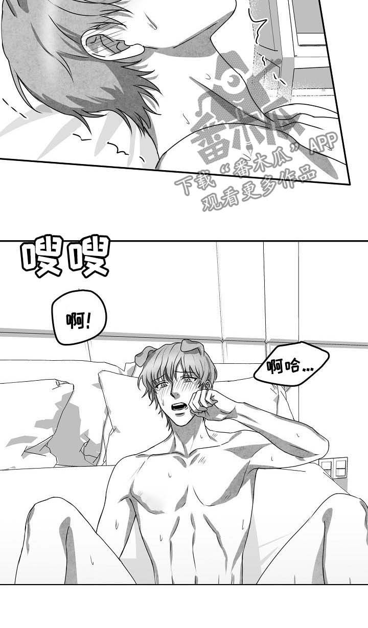 第43章：项目结束1