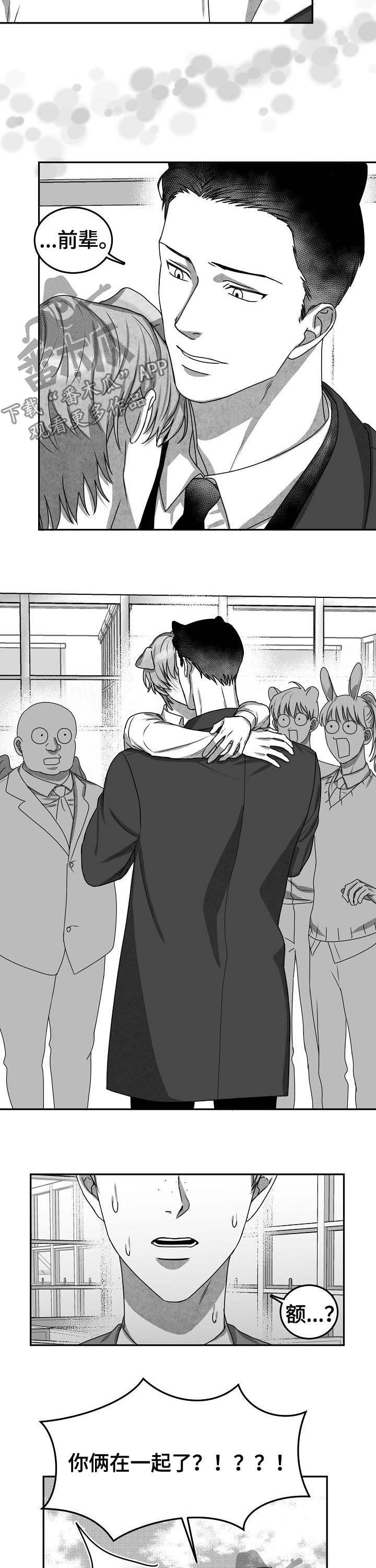 第43章：项目结束1